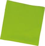 Lavette microfibre touché velours 40x40cm - vert - l'unité