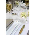 Nappes papier 60x60 bd blanc les 500