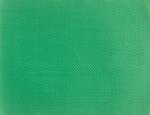 Nappes papier 70x70 bd vert lumiere les 500