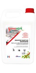 RENOPUR SANIT HC MANDARINE Ecocert Bidon 5L