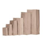 Sac papier 30L kraft écru 300*560 le carton de 100