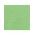 Serv ouate 39x39 2p pistache les 1800