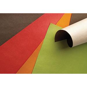 Sets papier kraft 30x40 ébène les 500